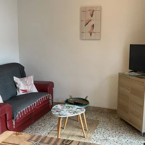 Salon avec télévision et canapé convertible dans l' appartement 'les flamants" des Saintes Maries de la Mer