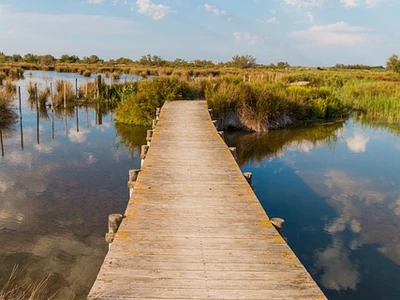 ponton qui mène à la Camargue sauvage dans le Sud de la France pour passer des vacances au soleil superbes